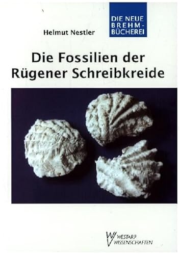 FOSSILIEN D. RÜGENER ... SCHREIBKREIDE