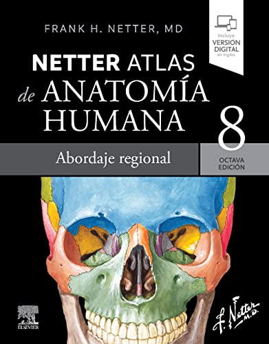 Netter. Atlas de anatomía humana. Abordaje regional von Elsevier