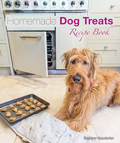 Homemade Dog Treats: Recipe Book