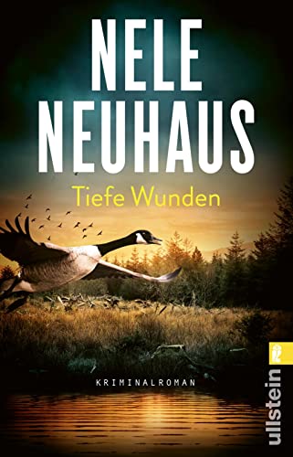 Tiefe Wunden: Kriminalroman | Drei Morde und ein dunkles Geheimnis: Der packende 3. Fall der Bestseller-Serie (Ein Bodenstein-Kirchhoff-Krimi, Band 3)