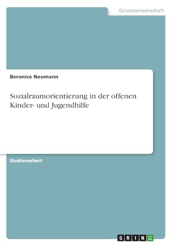 Sozialraumorientierung in der offenen Kinder- und Jugendhilfe