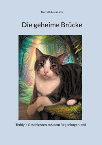 Die geheime Brücke: Teddy´s Geschichten aus dem Regenbogenland von Books on Demand