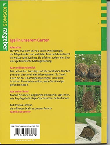 Igel in unserem Garten