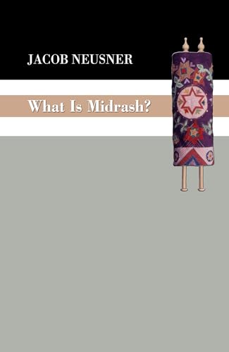 What Is Midrash? von Wipf & Stock Publishers