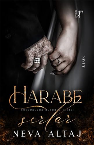 Harabe Sırlar: Kusursuzca Kusurlu Serisi von Artemis Yayınları