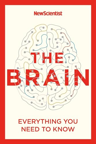 The Brain: Everything You Need to Know von John Murray