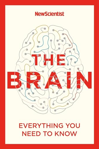 The Brain: Everything You Need to Know