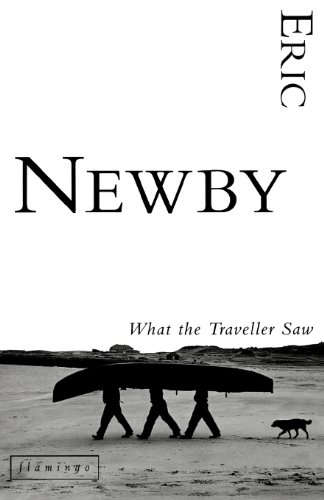 WHAT THE TRAVELLER SAW