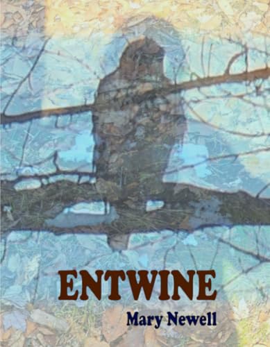 ENTWINE von BlazeVOX [books]