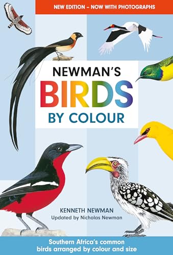Newman's Birds by Colour: Southern Africa's Common Birds Arranged by Colour and Size von Random House Books for Young Readers