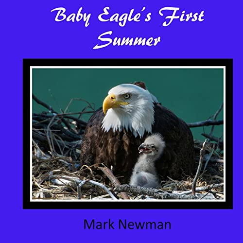Baby Eagle's First Summer von Createspace Independent Publishing Platform