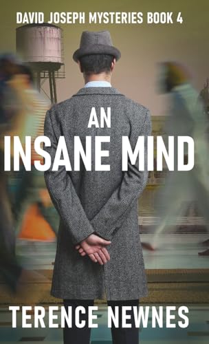 An Insane Mind (David Joseph Mysteries, Band 4) von Next Chapter