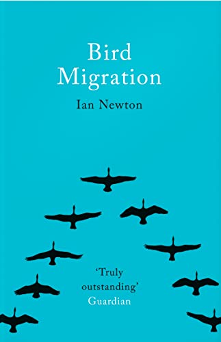 Bird Migration Bird Migration
