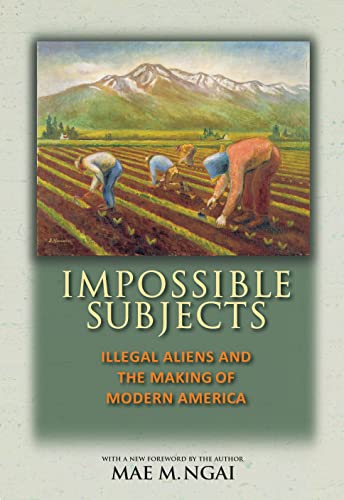 Impossible Subjects: Illegal Aliens and the Making of Modern America - Updated Edition (Politics and Society in Twentieth-Century America) von Princeton University Press