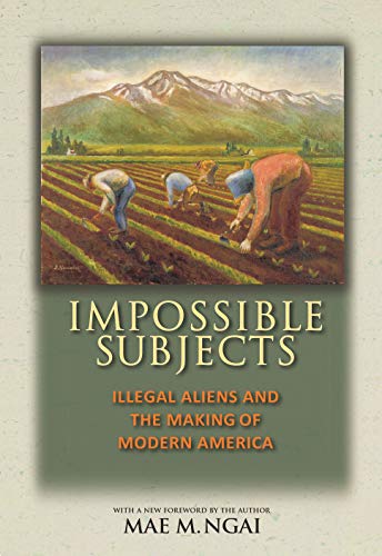 Impossible Subjects: Illegal Aliens and the Making of Modern America - Updated Edition (Politics and Society in Twentieth-Century America)