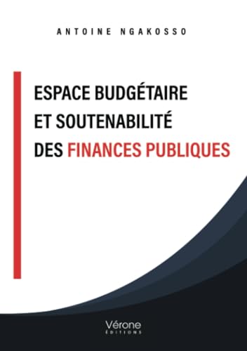 Espace budgétaire et soutenabilité des finances publiques Espace budgétaire et soutenabilité des finances publiques von Verone éditions