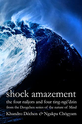 Shock Amazement: The four naljors and four ting-ngé’dzin from the Dzogchen series of the nature of Mind von Lulu