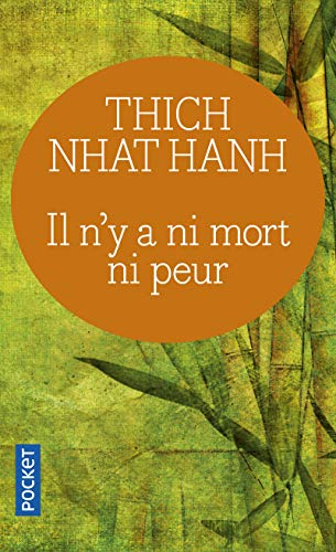 Il n'y a ni mort ni peur : Une sagesse réconfortante pour la vie von Pocket
