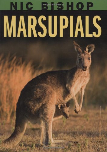 Nic Bishop: Marsupials von SCHOLASTIC