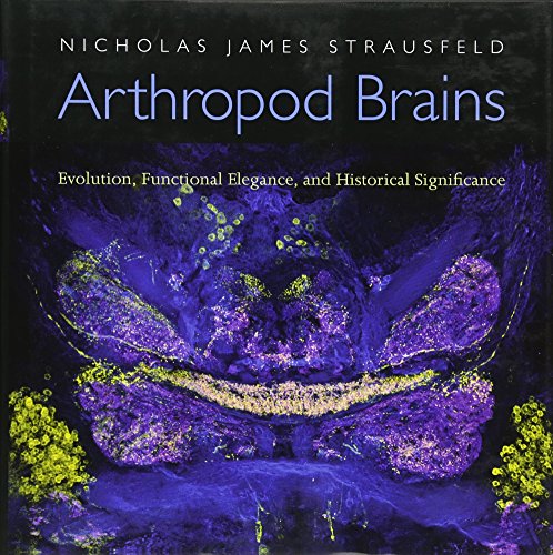 Arthropod Brains: Evolution, Functional Elegance, and Historical Significance von Belknap Press