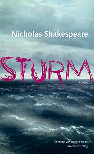 Sturm: Roman