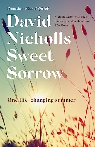Sweet Sorrow: The Sunday Times bestselling novel from the author of ONE DAY