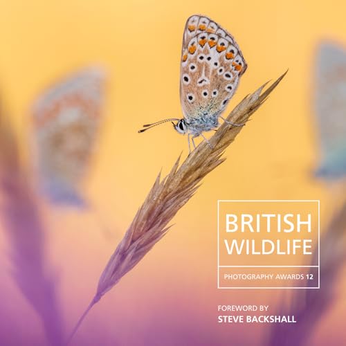 British Wildlife Photography Awards 12 von Bird Eye Books
