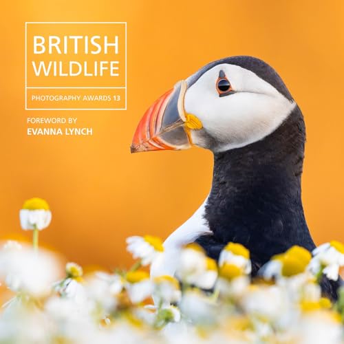 British Wildlife Photography Awards 13 von Bird Eye Books