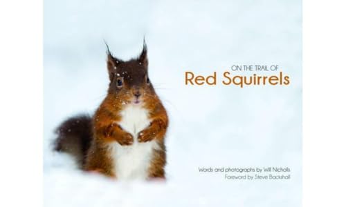 On the Trail of Red Squirrels