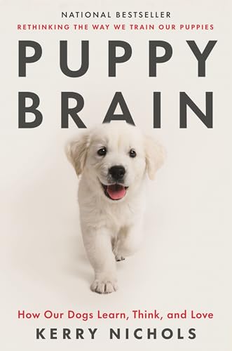 Puppy Brain: How Our Dogs Learn, Think, and Love von Castle Point Books