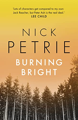Burning Bright (Ash, Band 2)