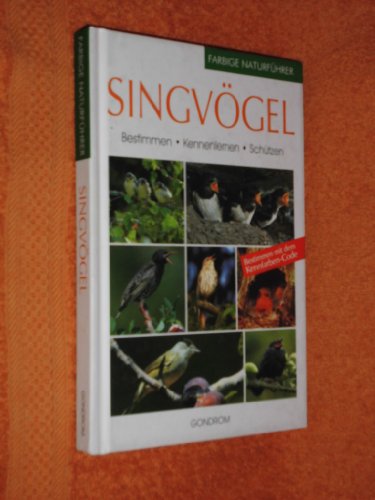 Singvögel. Bestimmen - Kennenlernen - Schützen