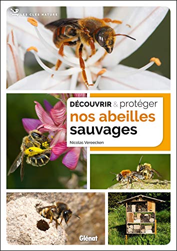 Découvrir et protéger nos abeilles sauvages von GLENAT