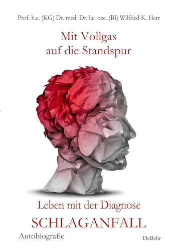 Mit Vollgas auf die Standspur - Leben mit der Diagnose Schlaganfall - Autobiografie