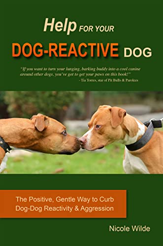 Help for Your Dog-Reactive Dog