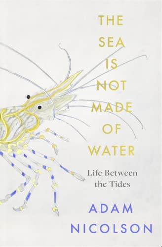 The Sea is Not Made of Water: Life Between the Tides