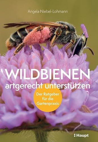 Wildbienen artgerecht unterstützen: Der Ratgeber für die Gartenpraxis von Haupt Verlag AG