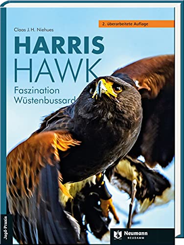 Harris Hawk: Faszination Wüstenbussard