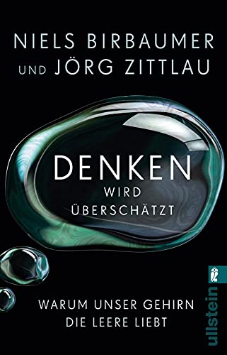 Denken wird überschätzt: Warum unser Gehirn die Leere liebt von ULLSTEIN TASCHENBUCH