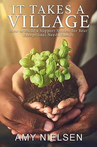It Takes a Village: How to Build a Support System for Your Exceptional Needs Family von Wild Ink Publishing