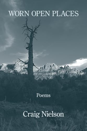 Worn Open Places Worn Open Places von Kelsay Books