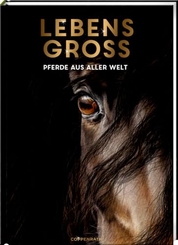 Lebensgroß: Pferde aus aller Welt: 12 beeindruckende Tierporträts mit einzigartigen Illustrationen in Lebensgröße, ab 7 Jahren von Coppenrath Verlag GmbH & Co.KG