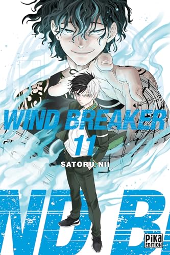 Wind Breaker T11 von PIKA