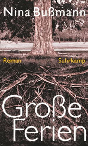 Große Ferien: Roman
