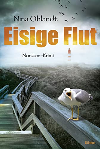 Eisige Flut: Nordsee-Krimi (Hauptkommissar John Benthien, Band 5)