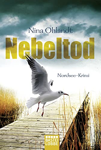 Nebeltod: Nordsee-Krimi (Hauptkommissar John Benthien, Band 3)