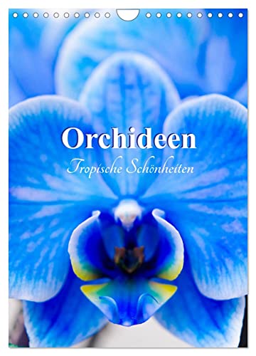 Orchideen - Tropische Schönheiten (Wandkalender 2024 DIN A4 hoch), CALVENDO Monatskalender
