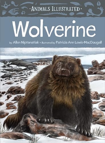 Animals Illustrated: Wolverine (Animals Illustrated, 8) von Inhabit Media