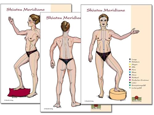 Meridiane: Shiatsu Meridiane DIN A2, 3 Schaubilder in Seiten-, Rücken- und Vorderansicht für den Unterricht und die Praxis