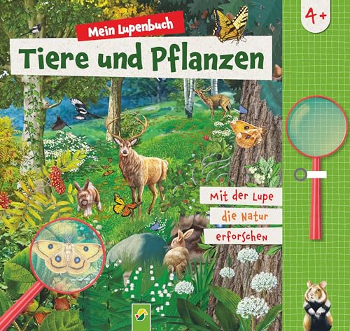Mein Lupenbuch Tiere und Pflanzen: Ab 4 Jahren | Spielerisches Lernen und Entdecken Mein Lupenbuch Tiere und Pflanzen: Ab 4 Jahren | Spielerisches Lernen und Entdecken